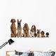 Group of brown dogs sitting, from taller to smaller Wall Decal