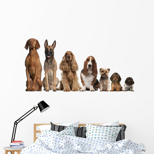 Group of brown dogs sitting, from taller to smaller Wall Decal