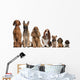 Group of brown dogs sitting, from taller to smaller Wall Decal