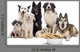 Dogs with Bones Wall Decal