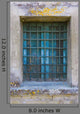 Blue Window Wall Mural