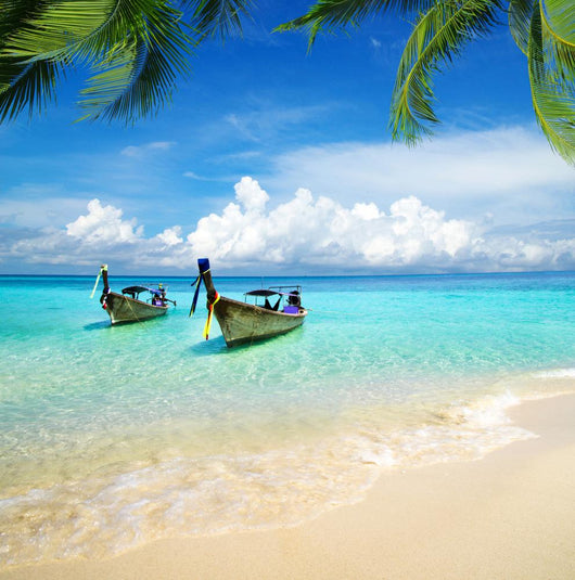Tropical Sea