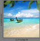 Tropical Sea