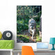 Snow Leopard Wall Mural