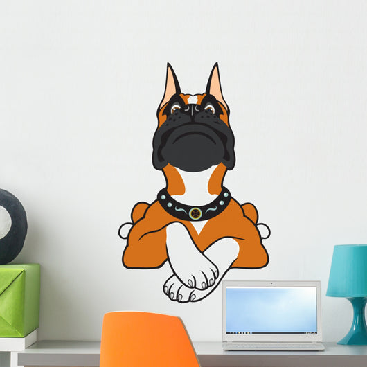 Cartoon Boxer