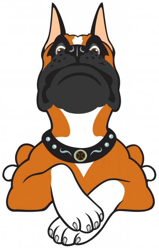 Cartoon Boxer