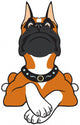 Cartoon Boxer