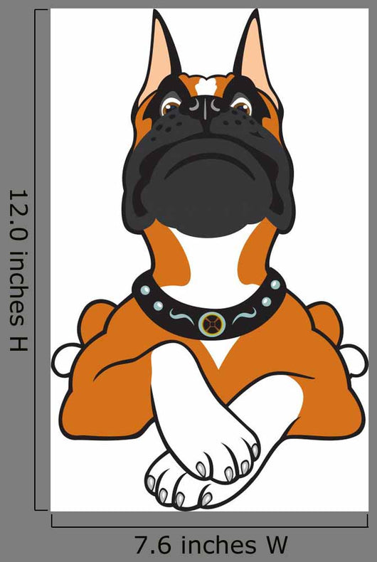 Cartoon Boxer