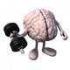 Exercise Your Brain Wall Decal