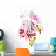Orchis Wall Mural