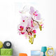 Orchis Wall Mural