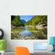 Mountain Stream