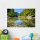 Mountain Stream