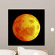 Eclipse Moon Wall Mural