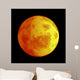 Eclipse Moon Wall Mural