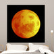 Eclipse Moon Wall Mural
