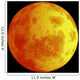 Eclipse Moon Wall Mural
