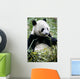 Giant Panda Wall Mural