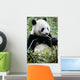 Giant Panda Wall Mural