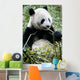 Giant Panda Wall Mural