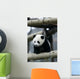 Giant Panda Wall Mural