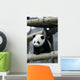 Giant Panda Wall Mural