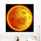 Sun Wall Mural