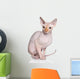 Sphynx cat Wall Decal