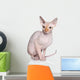 Sphynx cat Wall Decal