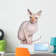 Sphynx cat Wall Decal