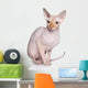 Sphynx cat Wall Decal