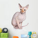 Sphynx cat Wall Decal