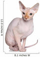 Sphynx cat Wall Decal