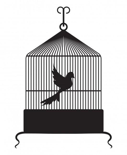 Bird Cage Wall Decal