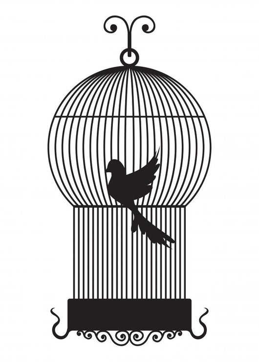 Bird Cage Wall Decal