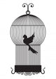 Bird Cage Wall Decal
