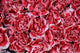 From Rose Carnations