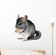 Grey chinchilla. isolated. Wall Decal