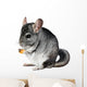 Grey chinchilla. isolated. Wall Decal