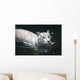 White Tiger Wall Mural