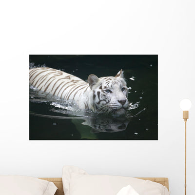 White Tiger Wall Mural shown on a wall