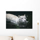 White Tiger Wall Mural