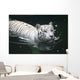 White Tiger Wall Mural