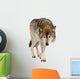 Grey Wolf Wall Decal