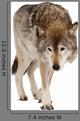 Grey Wolf Wall Decal