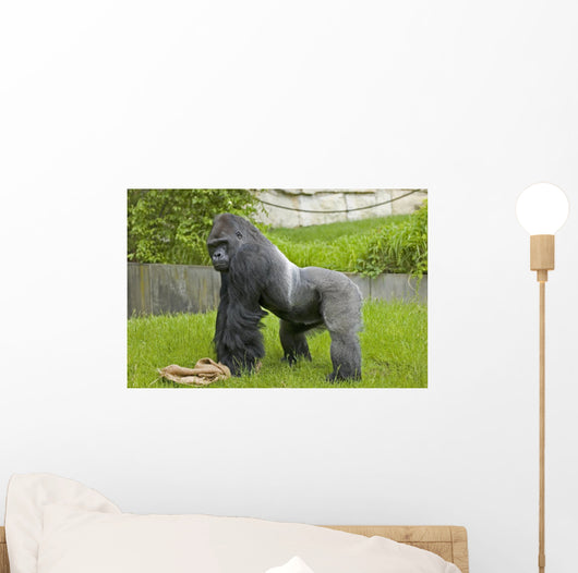 Gorilla Wall Mural