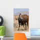 Black Wildebeest Wall Mural