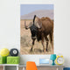 Black Wildebeest Wall Mural