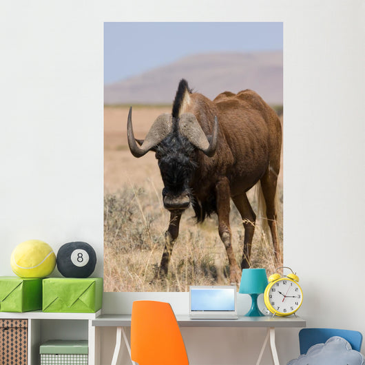 Black Wildebeest Wall Mural