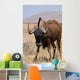 Black Wildebeest Wall Mural